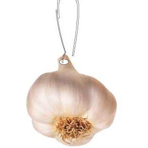 Garlic Zipper Pull