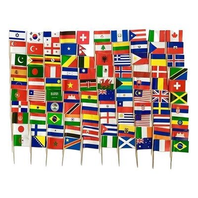 Large Pack World Country Toothpick Flags