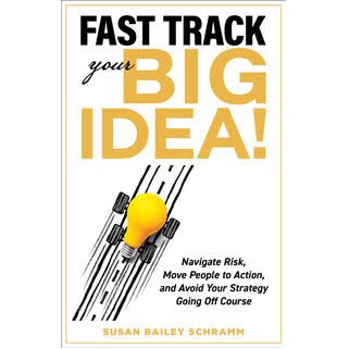 Fast Track Your Big Idea! Navigate Risk, Move People to Action...by Susan Schramm (Hardcover)