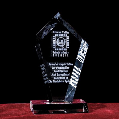 Custom Crystal Image in Pentagon Plaque w/3D Logo/ Text (9")