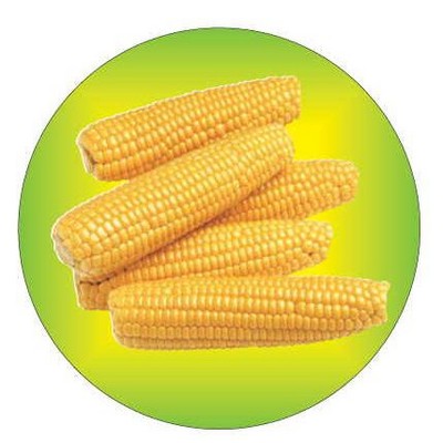 Corn On Cob Round Badge w/Bar Pin (2½" Diameter)