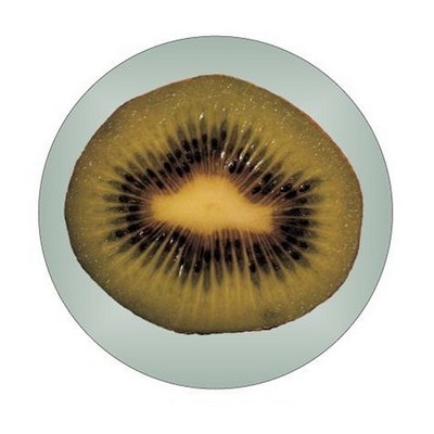 Kiwi Round Metal Photo Magnet (2 1/2")