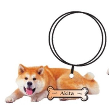 Akita Dog Keychain w/Mirrored Back (4 Square Inch)