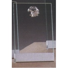 Clear Glass Plaque Award w/Silver Star, Silver Plastic Mounts & Aluminum Alloy Base (6"x8.5")
