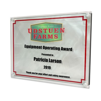 Radiance Award (9"X12")