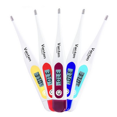 Digital Electronic Thermometer