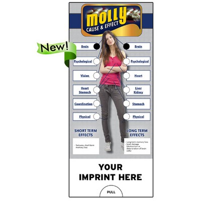 Molly Slide Guide Brochure