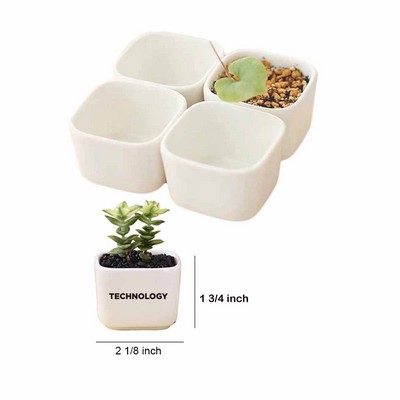 Simple Mini Square Basin