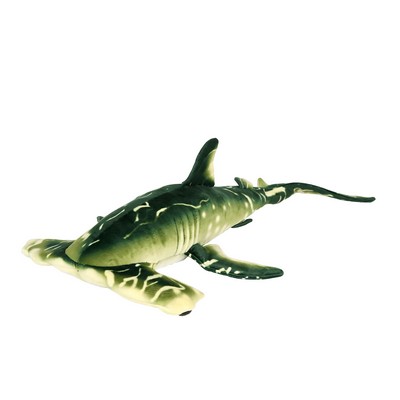 Green Hammerhead Shark