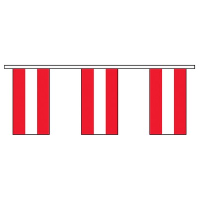 30' Austria International Collection Display Flag