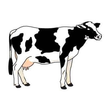 Cow Promotional Magnet w/Strip Magnet (8 Square Inch)