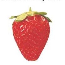 Strawberry T-Shirt Lapel Pin