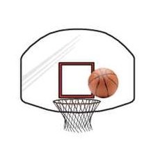 Basketball Goal Lapel Pin