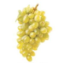 Green Grapes Lapel Pin