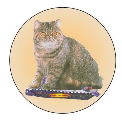 Exotic Shorthair Cat Round Badge w/ Bar Pin (2 1/2" Diameter)