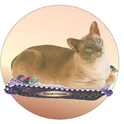 Tonkinese Cat Acrylic Coaster w/Felt Back