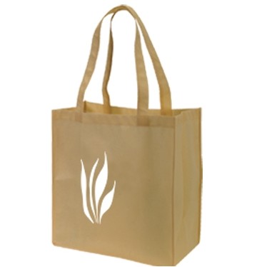 Non Woven Tote Bag (15"x16")