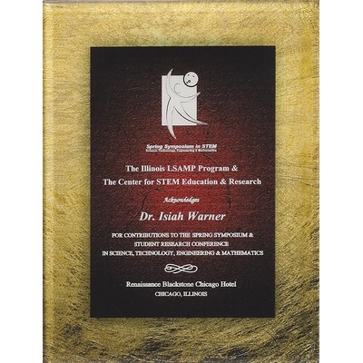 Acrylic Art Series Sienna/Gold Plaque - 9 3/4"