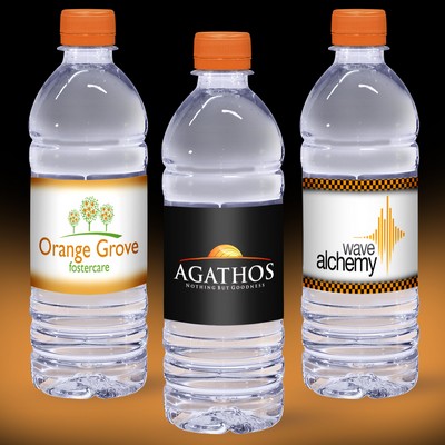 16.9 Oz. Custom Label Spring Water w/Orange Flat Cap - Clear Bottle