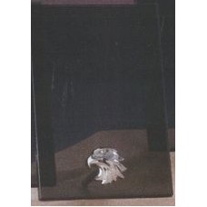 Silver Eagle Smoked Glass Award w/Silver Plastic Plaque Mounts (7"x9.5")