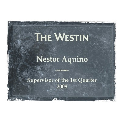 Black Marble Finish Wood Plaque w/Gold Letter Fill (9"x12")