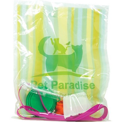 Digital Full Color 2-Sided Clear Plastic Bag (12"x 15")