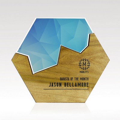 Medium Hexagon Edge Puzzle Award