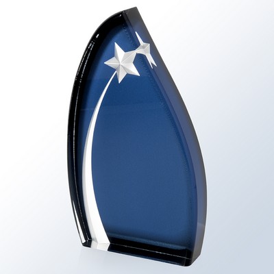 Acrylic Oval Star Award (Medium)