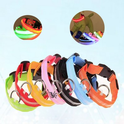 Illuminate Dog Collar