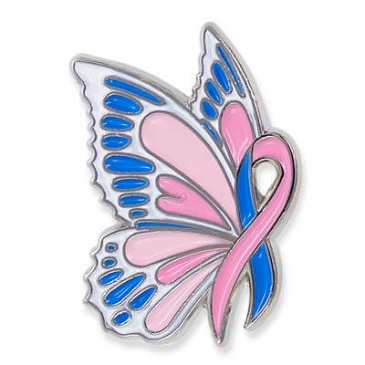 Pink and Blue Butterfly Pin
