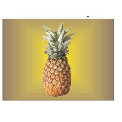 Pineapple Rectangle Badge w/ Bar Pin (2 1/2"x3 1/2")
