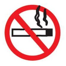 No Smoking Sign Lapel Pin