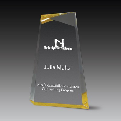 Wedge Facet™ Award (6"x9"x1¼")