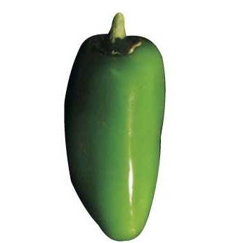 Jalapeno Promotional Magnet w/ Strip Magnet (2 Square Inch)