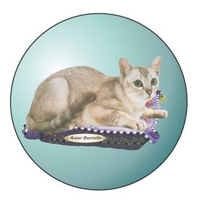 Asian Burmilla Cat Round Metal Photo Magnet (2 1/2")