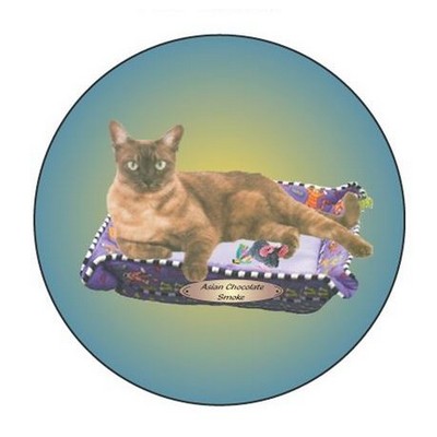 Asian Chocolate Smoke Cat Round Badge w/ Bar Pin (2 1/2" Diameter)