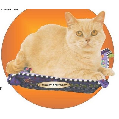 British Shorthair Cat Acrylic Coaster w/Felt Back