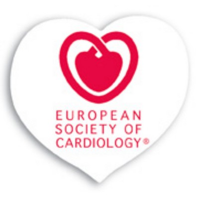 Laminated Name Badge (2.125"X2.25") Heart Shape - No personalization included