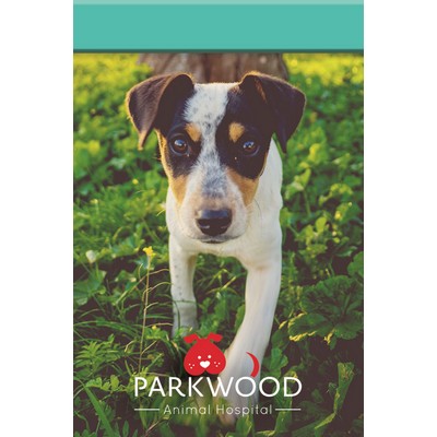 Medium TucNotes™ w/Full-Color Wraparound (4"x6")