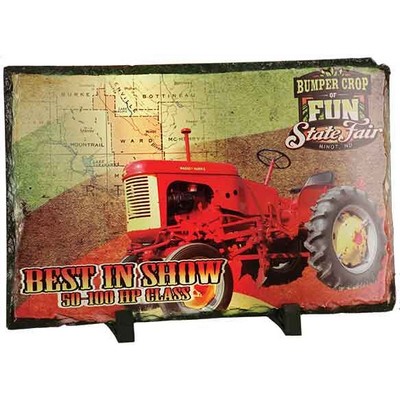 Full Color Rectangle Matt Stone Plaque 7 1/2 x 11 1/2"