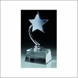 Chrome Star Award w/Crystal Base