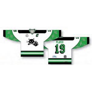 Classic Cut 3 Color Hockey Jersey w/Custom Sublimated Design On Sleeves