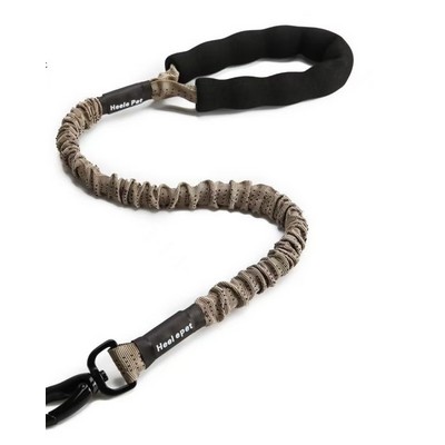 Pet leash