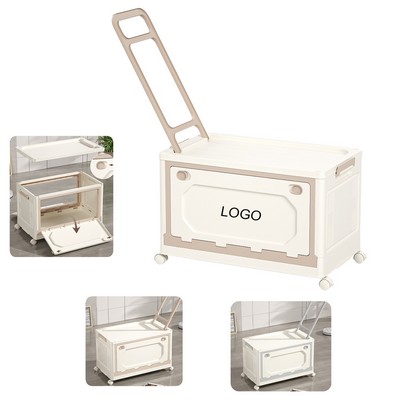 Collapsible Storage Bins with Lids