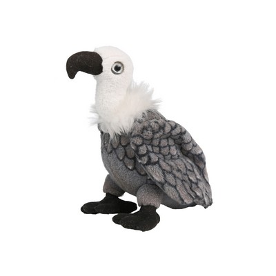 Grey Vulture