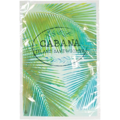 Digital Full Color 2-Sided Clear Plastic Bag (9"x 13")