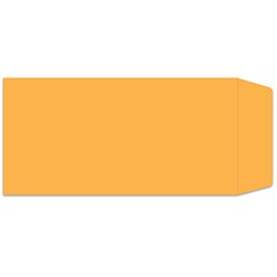 Plain Self Seal License Plate Envelopes