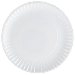 9" Paper Plates