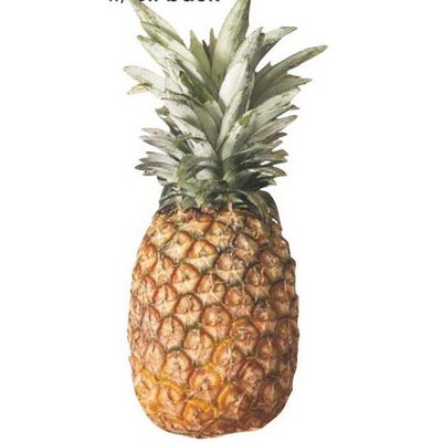 Pineapple Acrylic Coaster w/Felt Back