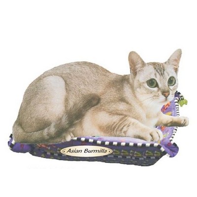 Asian Burmilla Cat Maxi Magnet (6 Square Inch)